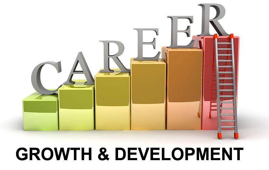 Colorful steps with the letters of CAREER above each step, a ladder to the top step, and the words growth and development below the image.
